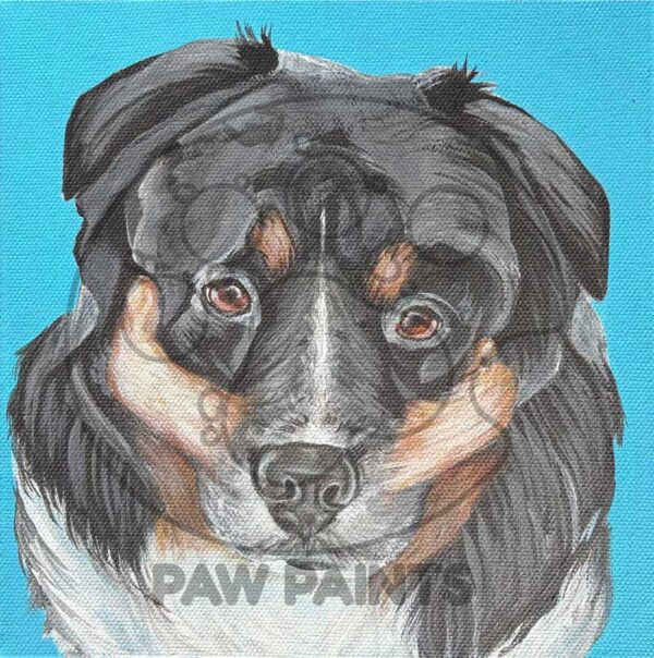 Australian Sheppard painted headshot on blue background