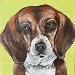 Brown beagle on lime green background