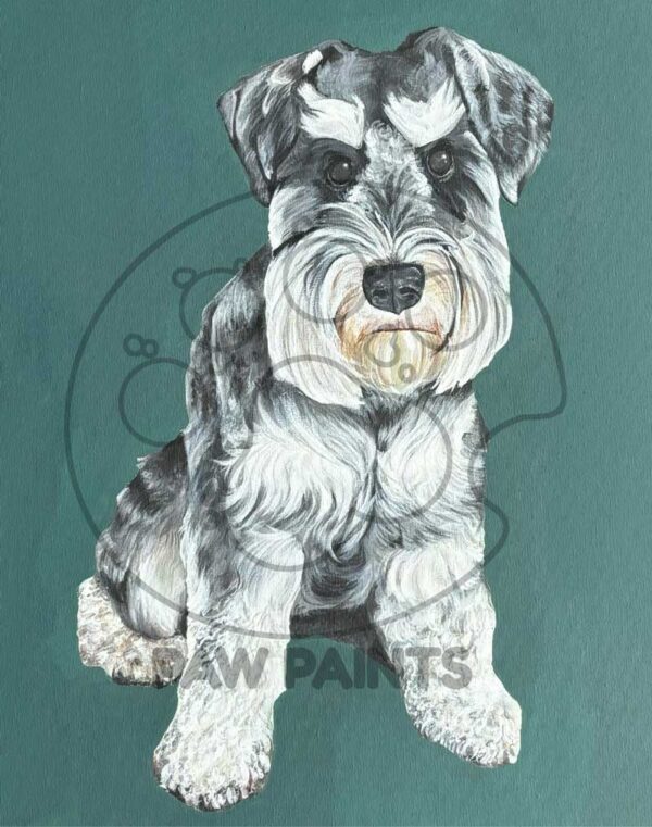Schnauzer full body painting on dark teal background