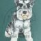 Schnauzer full body painting on dark teal background