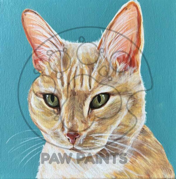 Orange cat head shot painting on blue background