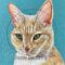 Orange cat head shot painting on blue background