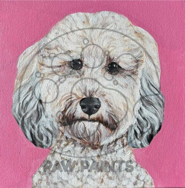 Head shot painting of a poodle on a bright pink background