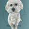 A beautiful painting of a white poodle named Sophie